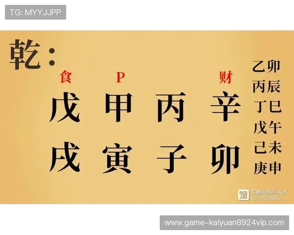 金富翁官网地址官方最新更新，获取最全面的服务与资讯指南